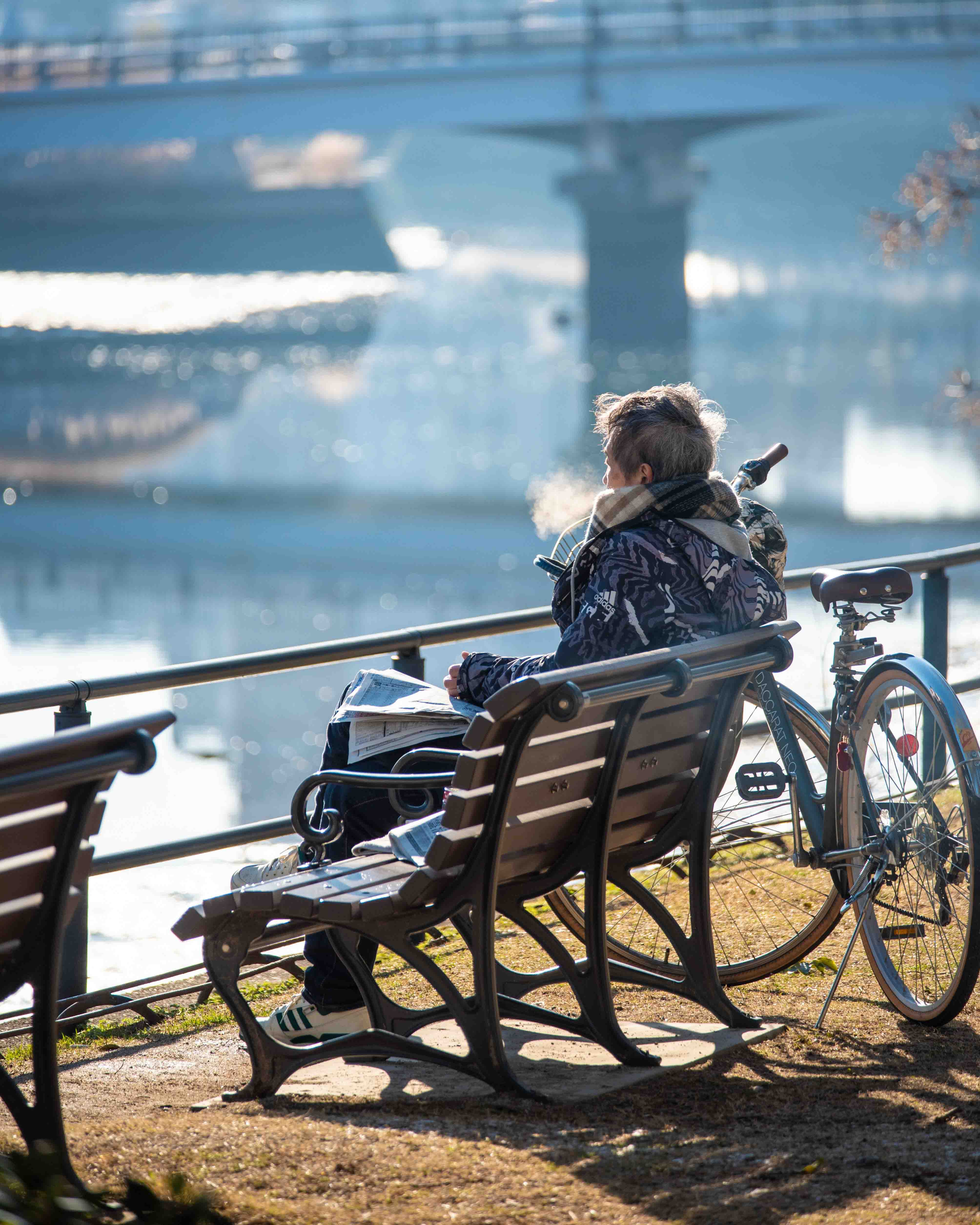 Golden temple, Kyoto